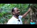 Beautiful Spice Garden Tour in Thekkady | E P - 10