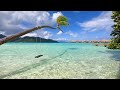 Island Paradise: 3 Hours of French Polynesia Ambience From Relaxing Taha'a