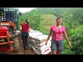 Use Truck Transport Livestock Feed - Transporting Firewood. Truck Driver Girl | Daily Farm