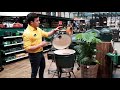 501459   Big Green Egg Medium   Joel