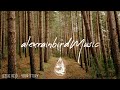 Into The Woods 🌲 - A Mysterious Indie/Folk/Pop Playlist | Vol. 2