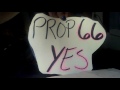 Propositions & my opinion