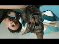vlog random bersama jiro kucing kesayangan