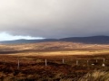 The Sally Gap - On Wicklow's Way