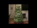 Christmas Tree BEFORE and AFTER decorations! (Dec 3rd)