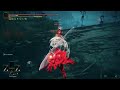 Shadow of The Erdtree Invasions Lit!🔥