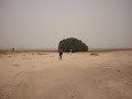 Getting To The Blessed Tree, Biqawiyya, Jordan