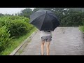 Super Relaxing Rain Walk. Sound for Sleep Study Meditation. White Noise ASMR.