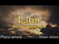 Latin/Beautiful Spanish Guitar/Masa Miura/Original