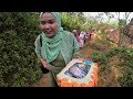 Penuh Perjuangan Antar Pengantin Melewati Sawah Indah Di Pelosok Kampung, Pernikahan Viral Di Desa