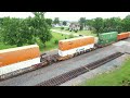 SNAKE CLIMBS FENCE AND UNION PACIFIC CLINTON SUB ACTION WITH TONS OF 