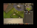 Oldschool Runescape: Law Running Guide 70K+/hr