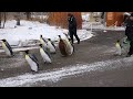 Penguin Walk