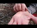 How To Find Gold Nuggets With a Minelab Metal Detector. Easy For You to Learn