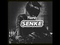 Maandy - Senke [Official Audio]