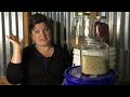 How to Store Whole Grains, Beans, Corn, Rice | Prepper Pantry with Grains | Long Term Storage