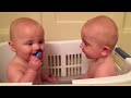 Twins Share A Pacifier | Cutest Moments | KYOOT