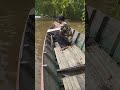 vlog disungai pas liat bapak menghajar ikan ❗❗Besar🐬🐬