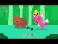 Learn about Animal Fun Facts in Songs | Poop, Colors, Body Parts, Sleeping Habit, Diet | Pinkfong