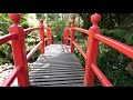A Walk in St Fiachra's Garden and The Japanese Garden