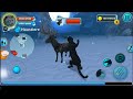 level up/snow leopard family sim online :)