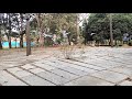 #Indirapark SlowMotion video of pigeons flying  Indira Park Hyderabad #Indirapark #short