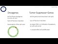 Oncogenes and Tumor Suppressor Genes - Tumor Genetics