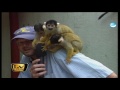 Raab in Gefahr: Kinderschreck im Affenzoo - TV total