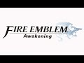 The Vaike Never Forgets - Fire Emblem Awakening