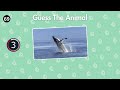 Guess 100 Animals in 3 Seconds | Easy, Medium, Hard, Impossible