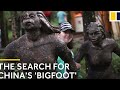 Sasquatch Among Wildmen (2020) | Documentary | Shane Corson | David Ellis | Lee Lustig