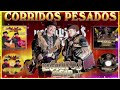 Los Gallitos del sur Mix Corridos Pesados ~  Mix Para Pistear ~ Mejores Canciones Inmortales