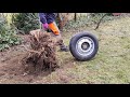 tree stump removal