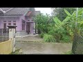 Heavy Rain in My Village | Very Cold, For Insomnia, Walking in Heavy Rain, Rain Sounds For Sleep