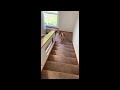 Roxie goes down the stairs!