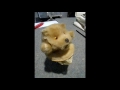 Wind Up Bear Toy