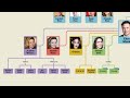 Elon Musk Family Tree