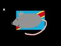 Erkennst du die Flaggen mit Ratte drauf? (Flaggen-Quiz #28)