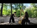 Chrysalide Orientale - harpe et dance contemporaine en forêt
