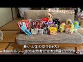 【購入品】ドンキで気になる食品と日用品を必要分だけあれこれ購入＆正直レビュー【情熱価格】