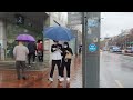 Heavenly Sound of  Seoul Rain Walk | Stress Relief Deep Sleep Relaxing Ambience White Noise