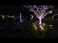 Toneri Park Flower and Light Movement | Tokyo