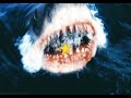 köpek balığı shark vs cin/skin walker