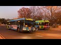 WMATA Metrobus & Montgomery County Transit Ride On Mini Action Series #19