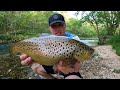 Trout Fishing Missouri's Bennett Springs