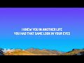 Billie Eilish - BIRDS OF A FEATHER (Lyrics)