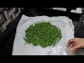 মটরশুঁটি সংরক্ষণ পদ্ধতি /Frozen Motorshuti/How to Store Greenpeas