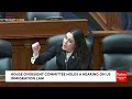 Anna Paulina Luna Absolutely Eviscerates Democrats' Witness During Hearing On Border Security