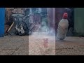 Exploding Bottles with Explosives in SLOW MOTION