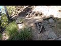 Hike #312N: Suicide Rock, San Jacinto Wilderness, Idyllwild, CA (Narrative Version)